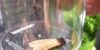 20220624_105601