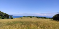 IMG_20220624_103402