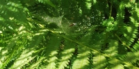 IMG_20220624_105825