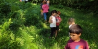 IMG_20220624_110115