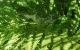 IMG_20220624_105825