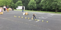 IMG_0656-10