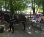 115