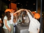 DSCN0353