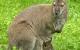 IMG-20240611-WA0004